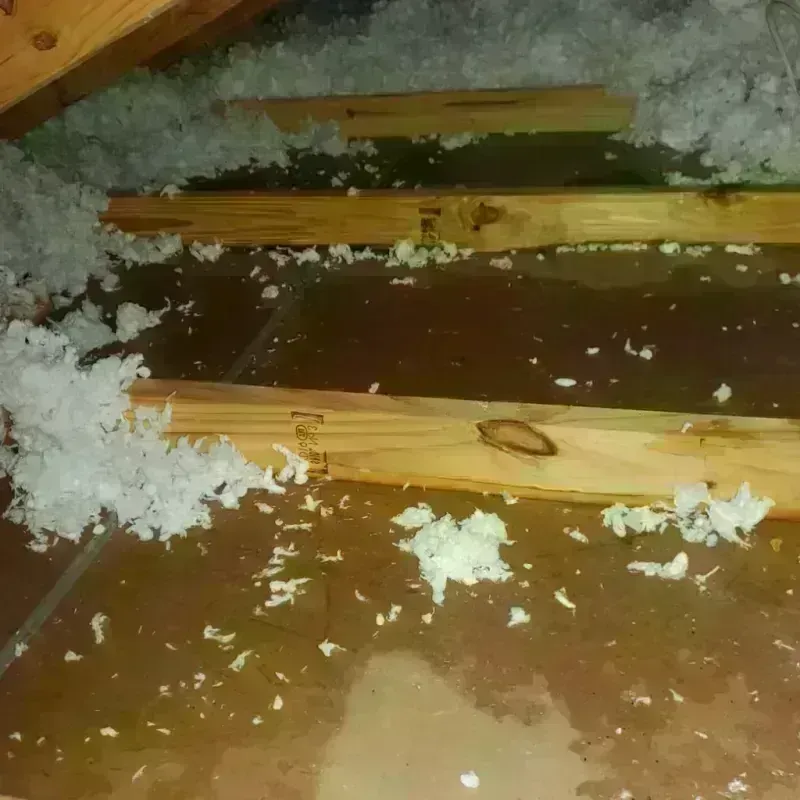 Attic Water Damage in Larchmont, NY